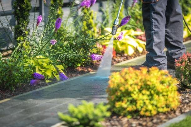 Best Restaurant Pressure Washing  in Ludington, MI